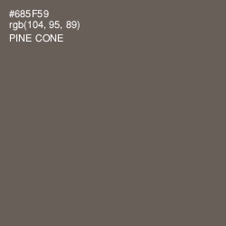 #685F59 - Pine Cone Color Image